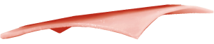 Image of a top burger bun