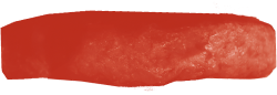 Image of a top burger bun